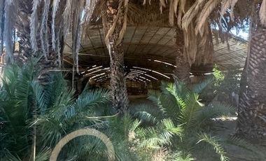 Renta Nave industrial Agricola Pantitlán, a 10 min Aeropuerto AICM
