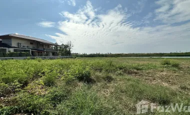 Land for sale in Khok Kham, Samut Sakhon