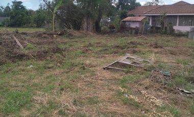 Land for sale in Bua Sali, Chiang Rai