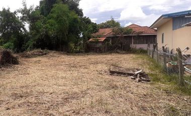 Land for sale in Bua Sali, Chiang Rai