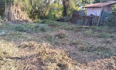 Land for sale in Bua Sali, Chiang Rai