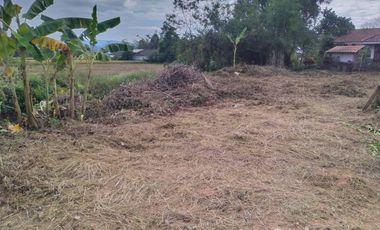 Land for sale in Bua Sali, Chiang Rai