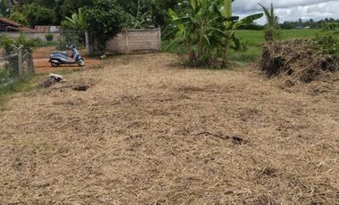Land for sale in Bua Sali, Chiang Rai