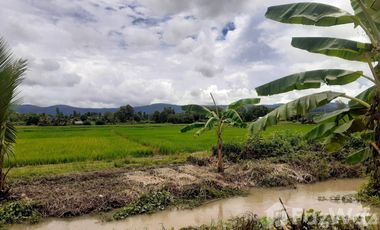 Land for sale in Bua Sali, Chiang Rai