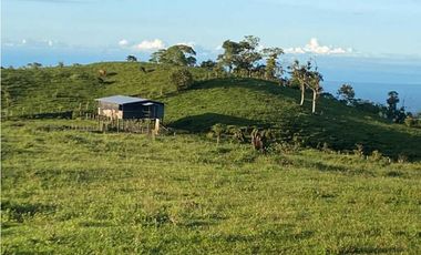 VENDO FINCA DE 368 HECTAREAS COORDILLERA