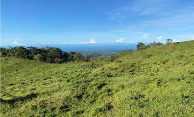 VENDO FINCA DE 368 HECTAREAS COORDILLERA