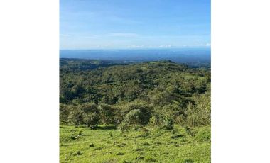 VENDO FINCA DE 368 HECTAREAS COORDILLERA