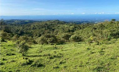 VENDO FINCA DE 368 HECTAREAS COORDILLERA