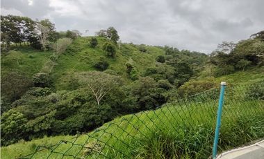 Se Vende Finca de 12 Has en Capira Trinidad con Casa Campestre (DR)