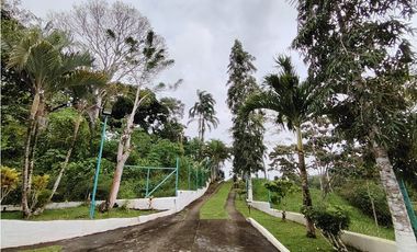 Se Vende Finca de 12 Has en Capira Trinidad con Casa Campestre (DR)