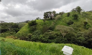 Se Vende Finca de 12 Has en Capira Trinidad con Casa Campestre (DR)