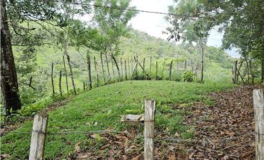 Finca en venta 12 Has en Capira Trinidad - con Casa Campestre  (DR)