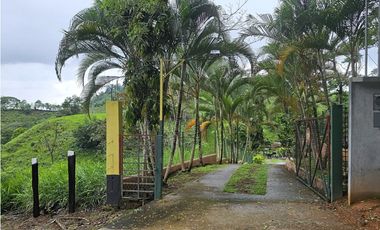 Finca en venta 12 Has en Capira Trinidad - con Casa Campestre  (DR)