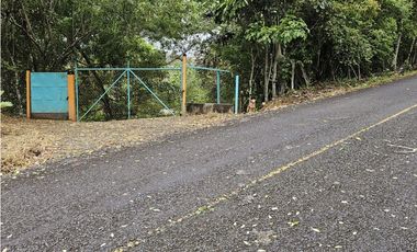 Finca en venta 12 Has en Capira Trinidad - con Casa Campestre  (DR)
