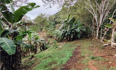 Se Vende Finca de 12 Has en Capira Trinidad con Casa Campestre (DR)