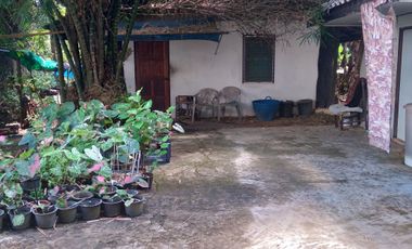 24 Bedroom House for sale in Sai Khao, Chiang Rai