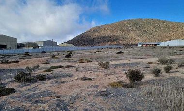 Parcela en arriendo en COQUIMBO
