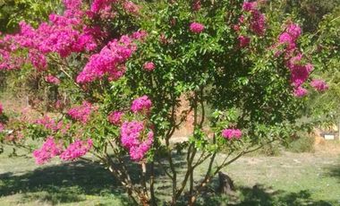 Casa en venta en PARRAL