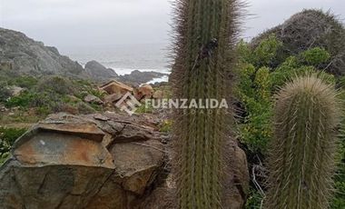 Terreno Construccion  en Venta en Longitudinal Norte, Punta Dorada