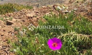 Terreno Construccion  en Venta en Longitudinal Norte, Punta Dorada