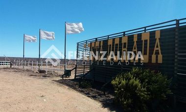 Terreno Construccion  en Venta en Longitudinal Norte, Punta Dorada