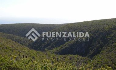 Terreno Construccion  en Venta en Longitudinal Norte, Punta Dorada