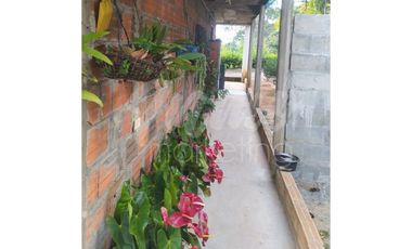 VENTA DE FINCA VA ALTAGRACIA - PEREIRA