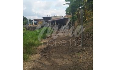 VENTA DE FINCA VA ALTAGRACIA - PEREIRA