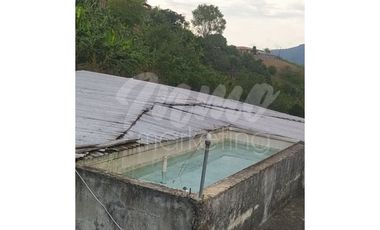 VENTA DE FINCA VA ALTAGRACIA - PEREIRA