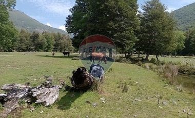 VENTA 6000 m², Río Renaico Malleco, Sin Comisión