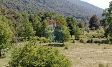 VENTA 6000 m², Río Renaico Malleco, Sin Comisión