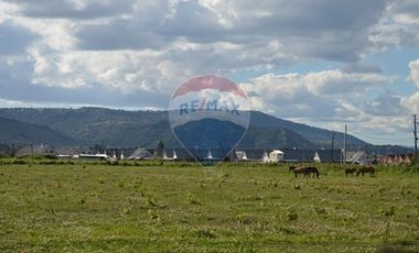 Parcelas de 5000 m2 residenciales de Molina!