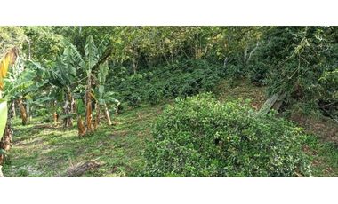 Venta Finca, vía Pijao a Génova, Quindío. COD: 8342923