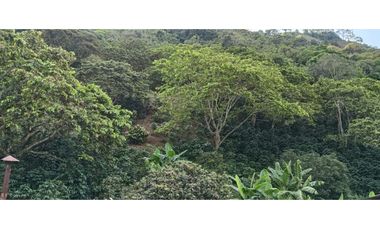 Venta Finca, vía Pijao a Génova, Quindío. COD: 8342923