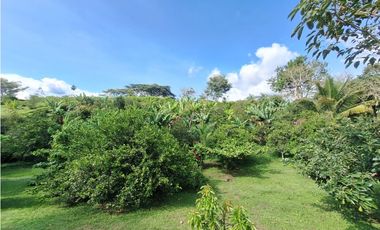 Venta Finca, vía Pijao a Génova, Quindío. COD: 8342923