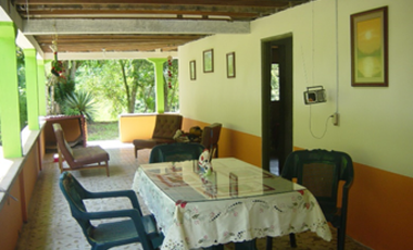 Venta Finca, vía Pijao a Génova, Quindío. COD: 8342923