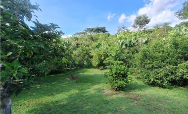 Venta Finca, vía Pijao a Génova, Quindío. COD: 8342923