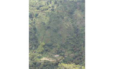 Venta Finca, vía Pijao a Génova, Quindío. COD: 8342923