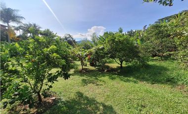 Venta Finca, vía Pijao a Génova, Quindío. COD: 8342923