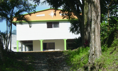 Venta Finca, vía Pijao a Génova, Quindío. COD: 8342923