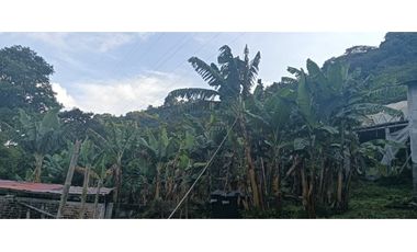 Venta Finca, vía Pijao a Génova, Quindío. COD: 8342923