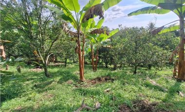 Venta Finca, vía Pijao a Génova, Quindío. COD: 8342923