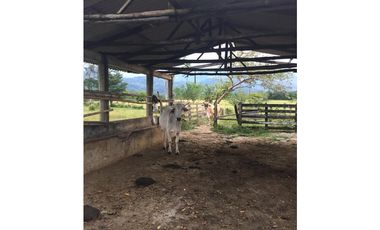 Se vende Finca en Restrepo