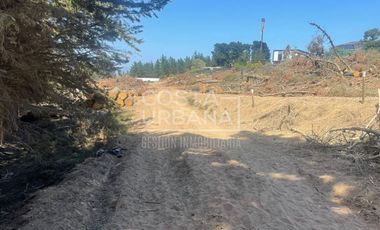 Terreno en Los Pinos