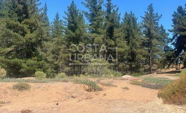 Terreno en Los Pinos