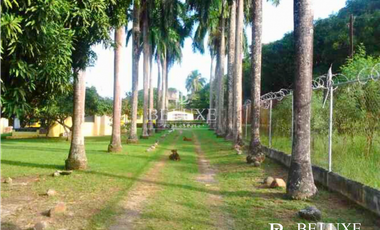 VENDO TERRENO EN GORGONA (6)