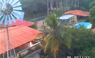 VENDO TERRENO EN GORGONA (6)