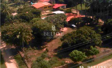 VENDO TERRENO EN GORGONA (6)