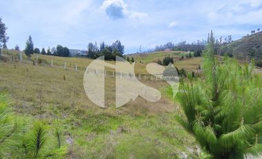TERRENO DE VENTA SECTOR TARQUI, CUENCA