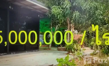 1 Bedroom House for sale in Ban Pet, Khon Kaen